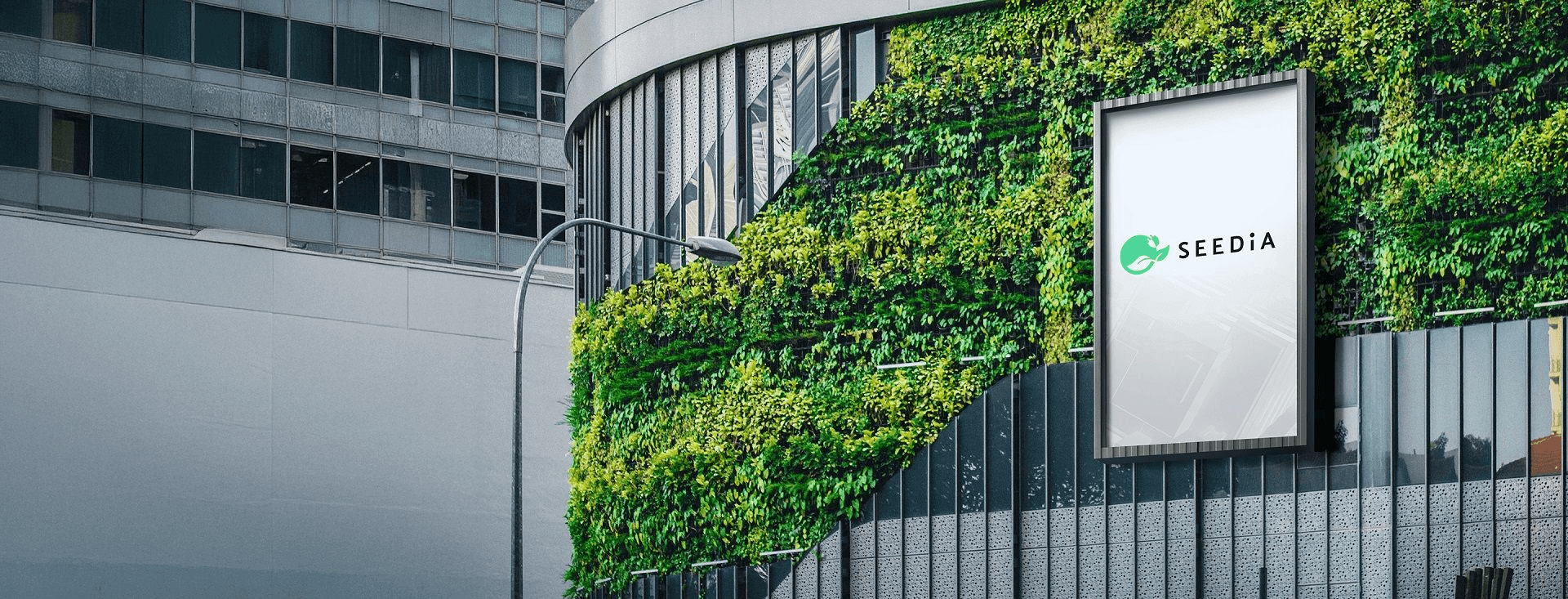 Seedia: 300% wzrostu ruchu i konwersji z ChatGPT