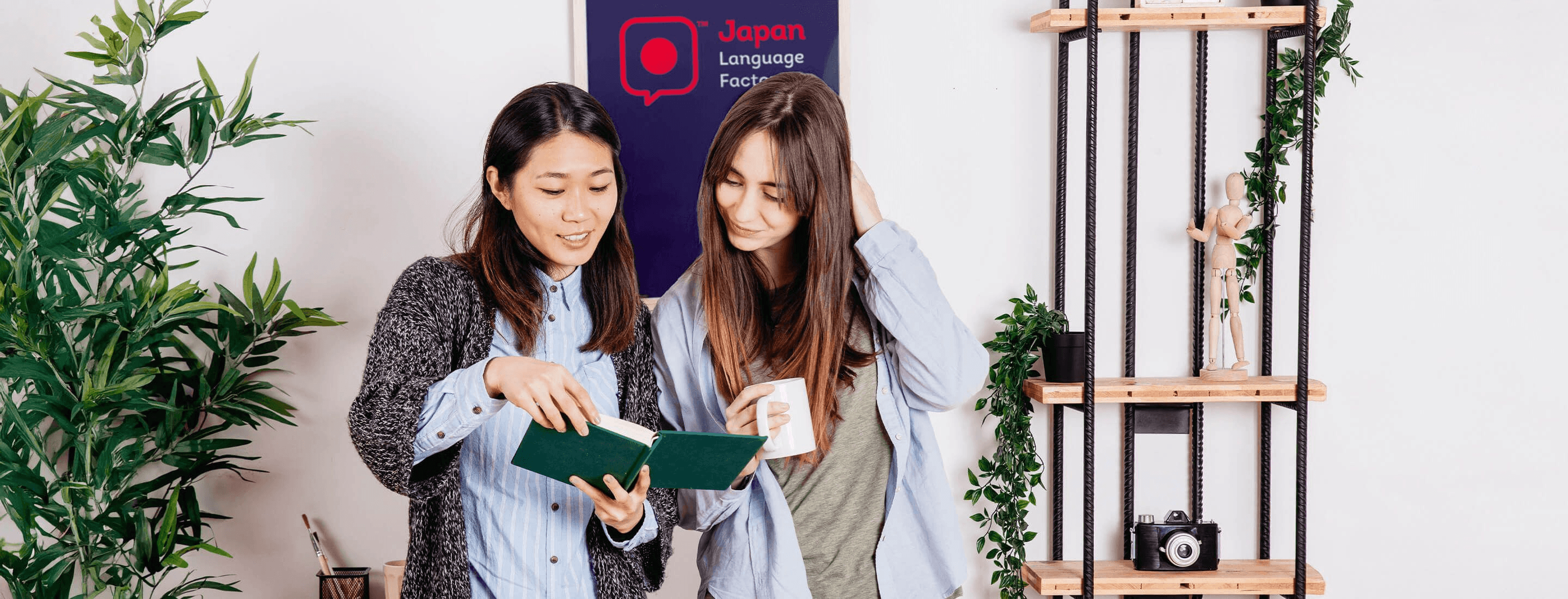 Strategia „Bocznych Drzwi” - Jak zbudowaliśmy ruch i konwersje  w niszy edukacyjnej, omijając gigantów