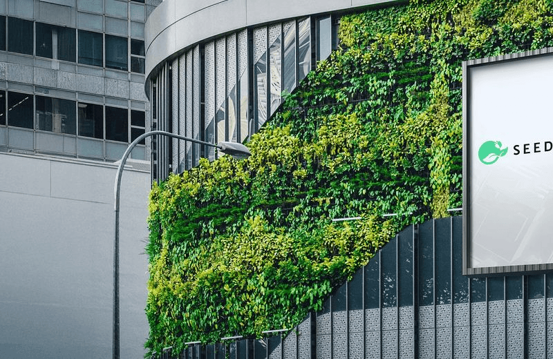 Seedia: 300% wzrostu ruchu i konwersji z ChatGPT